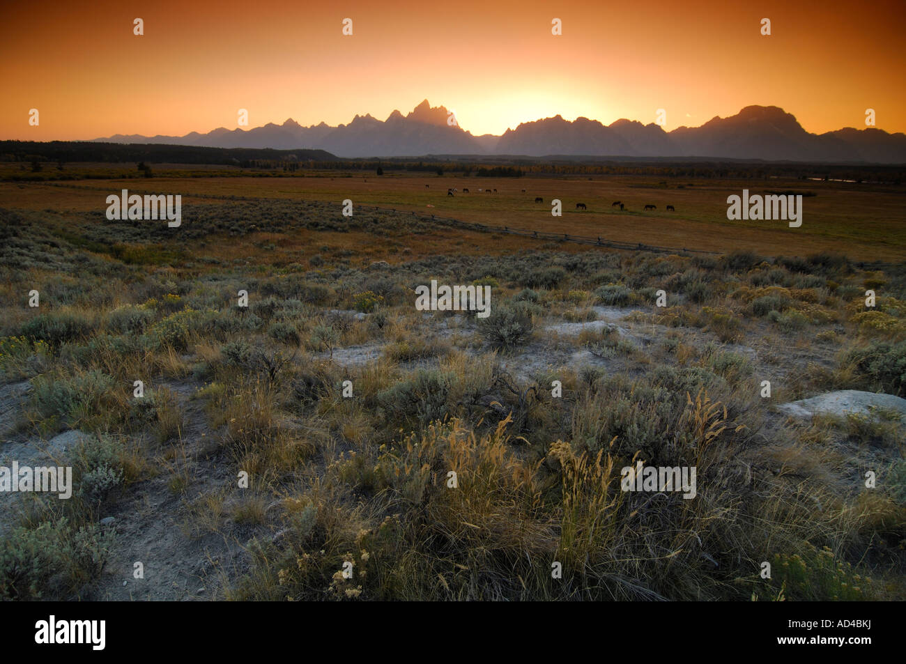 Farm land in front of the Grand Teton range, Grand Teton National Park