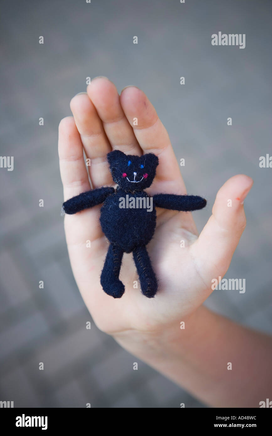 small black teddy bear