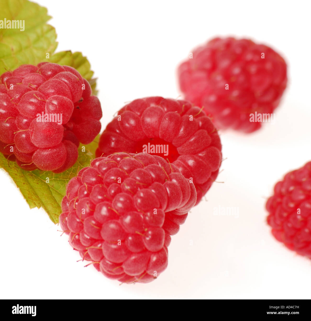 Hengdian Raspberry Raspberries food hi-res stock photography and images - Alamy