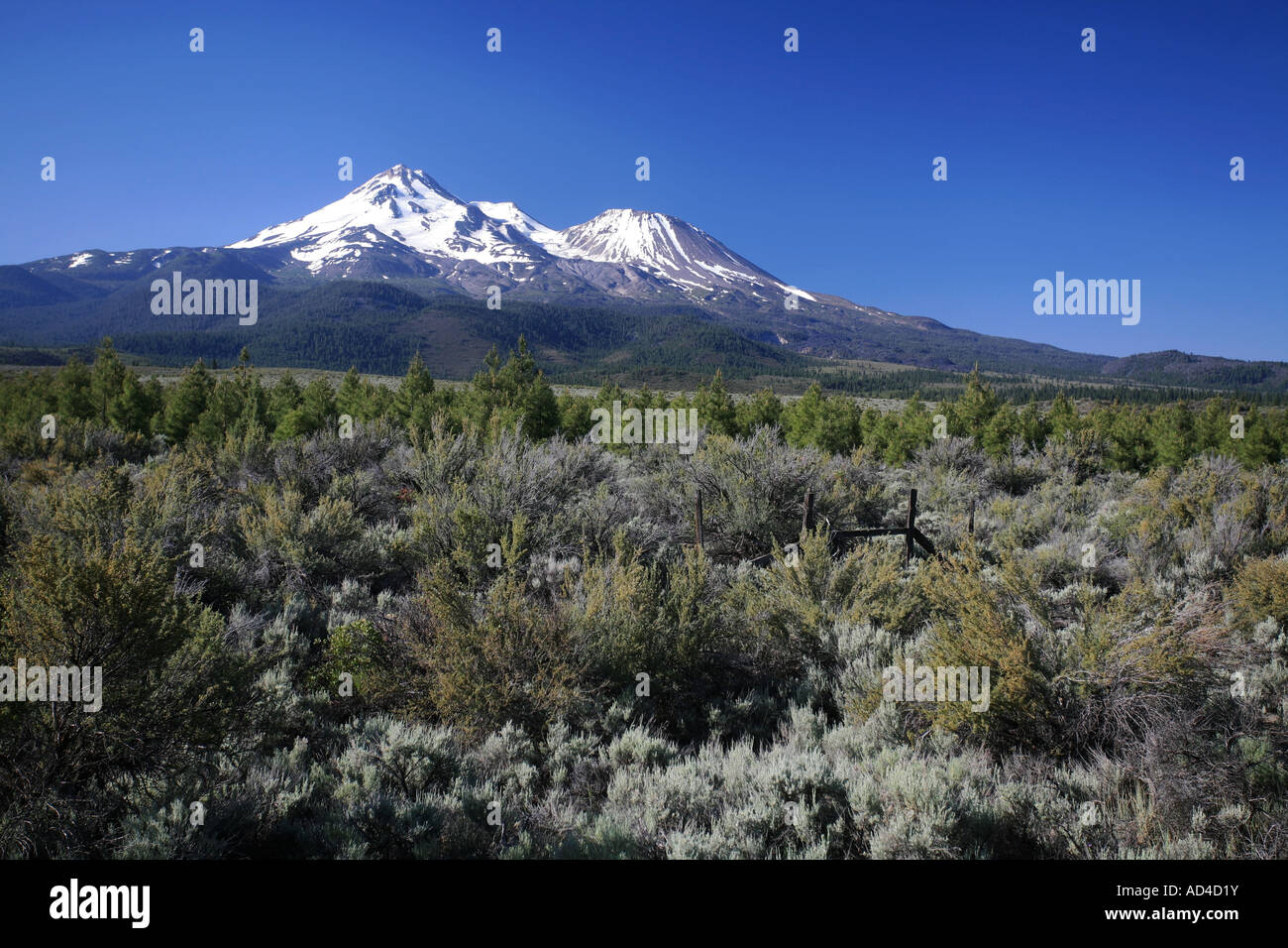 Barren landscape and Mount Shasta double crater in the backgorund at ...