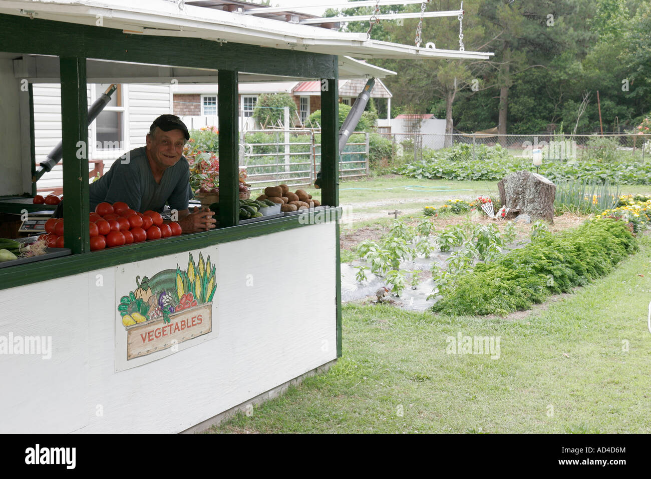 Virginia Beach,Sandbridge Road,Belanga's Seafood and Produce,locally