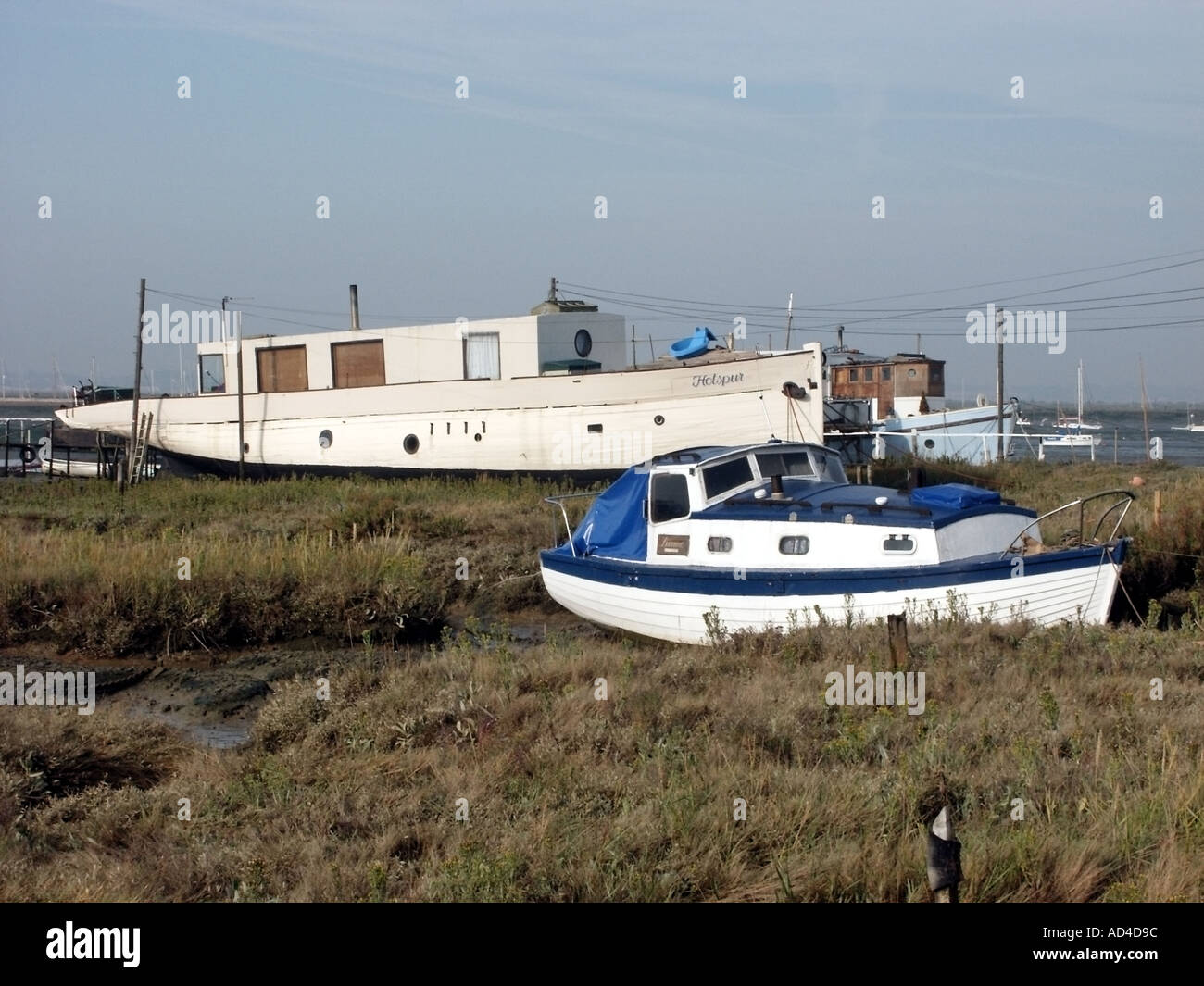 West Mersea house boats resting on grassed mud flats on shoreline of