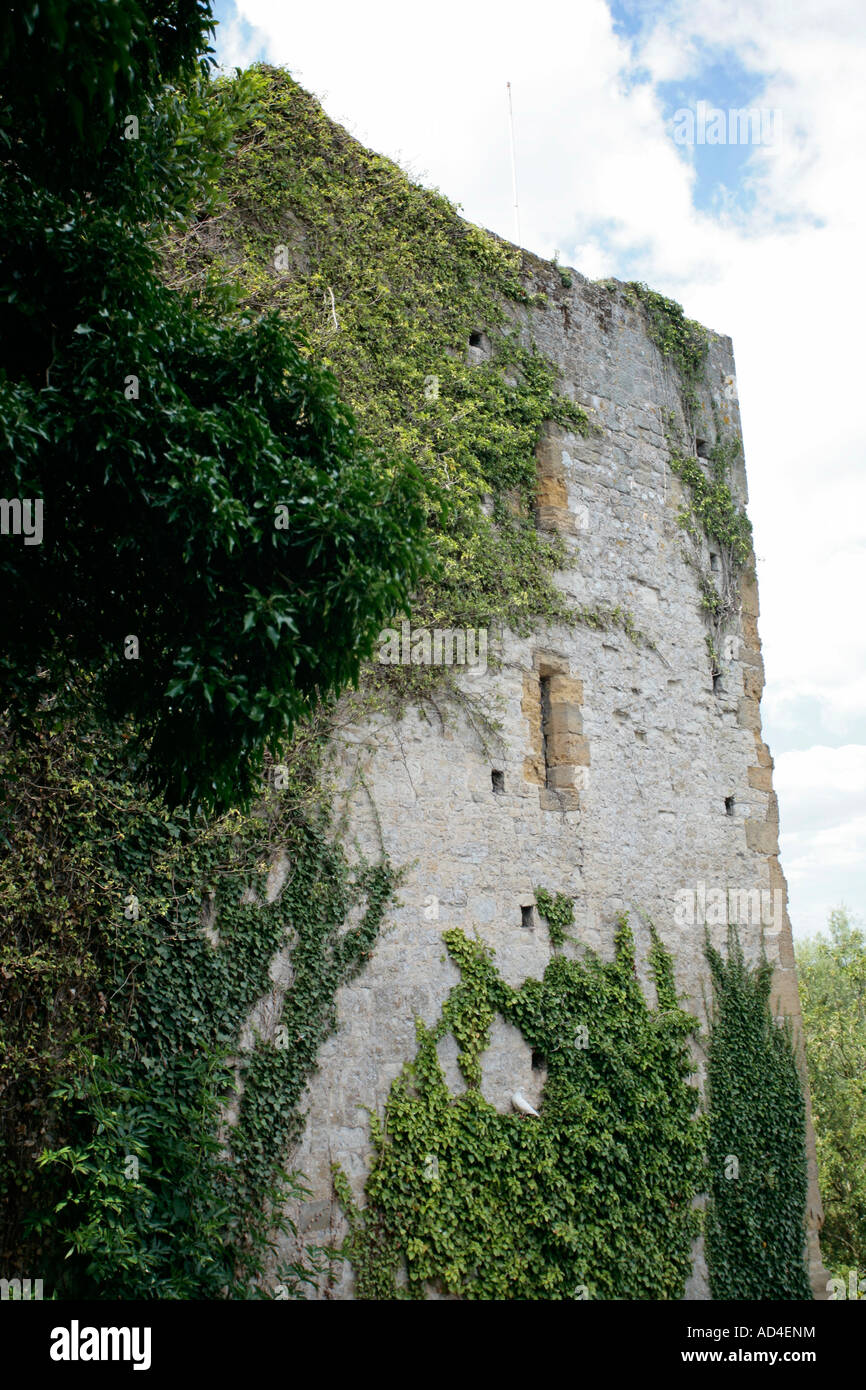 Section of Ivy clad wall of Amberley Castle, Amberley, West Sussex, UK Stock Photo