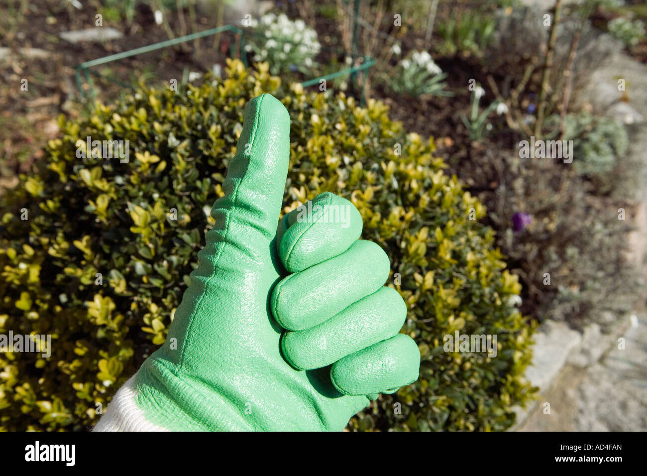 Thumbs up image hand hi-res stock photography and images - Alamy