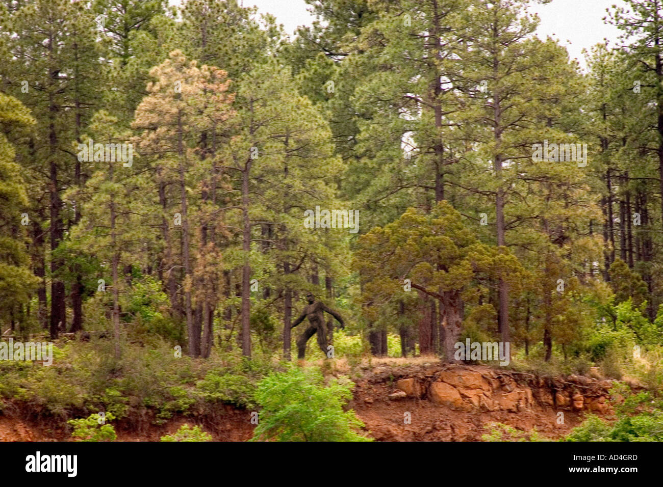 Distant photo of Bigfoot on Ridge Stock Photo