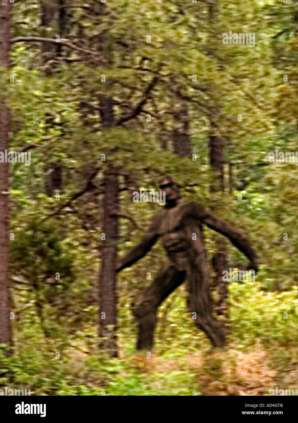 Cropped, Close-up of Bigfoot (Color version) Stock Photo