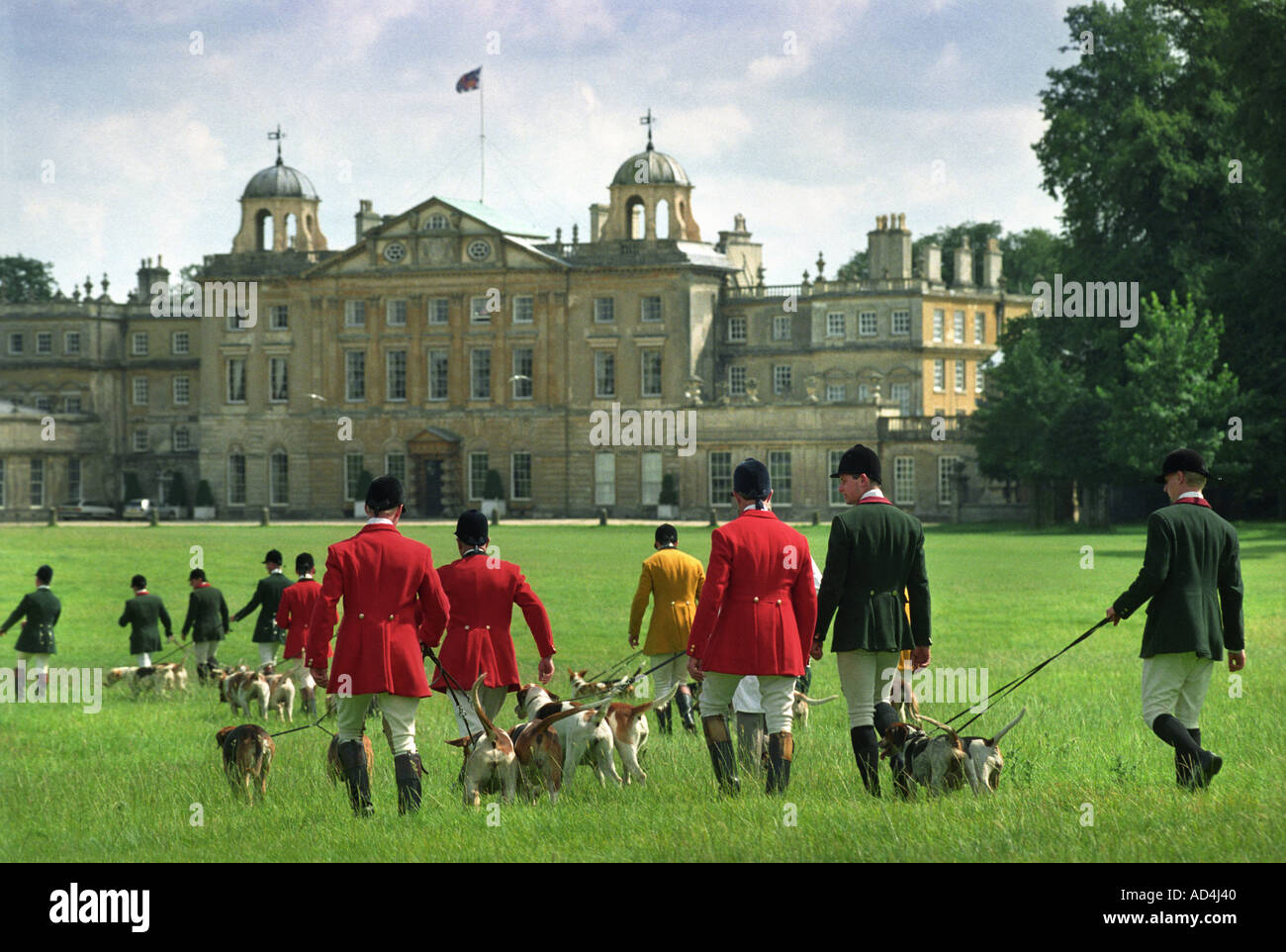 FOX HOUNDS ON LEADS AT THE BEAUFORT HUNT'S GLOUCESTERSHIRE FESTIVAL OF HUNTING UK AT BADMINTON HOUSE SOUTH GLOUCESTERSHIRE UK Stock Photo