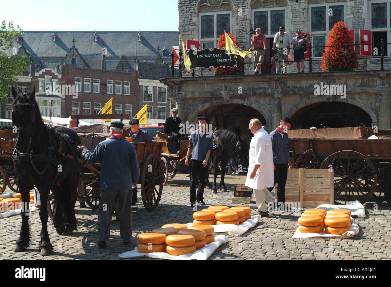 Traditional Cheese Market at the town hall in Gouda Holland Netherlands