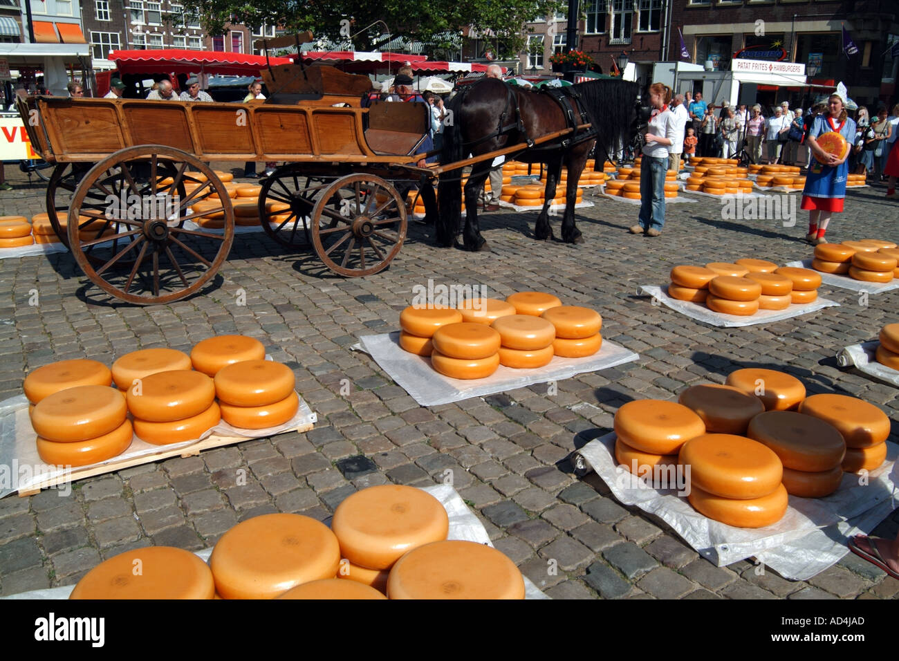 Traditional Cheese Market at Gouda Holland Netherlands cheeses on Stock Photo 4342444 Alamy