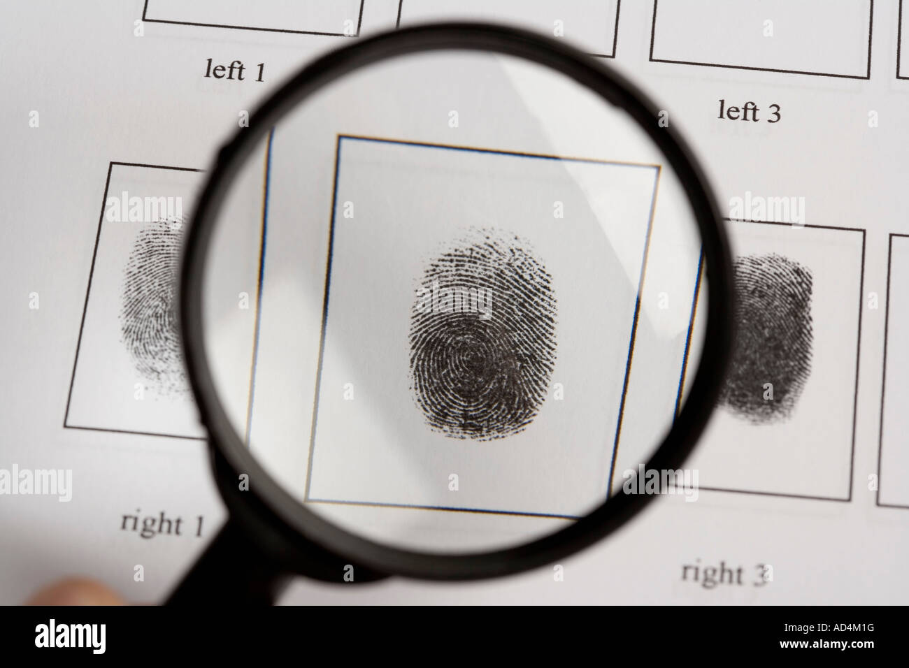 A magnifying glass above a fingerprint document Stock Photo