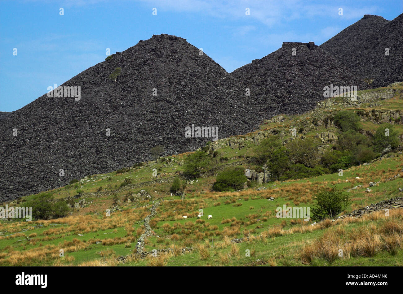 Piles of slag from old mine workings scar the snowdon region Stock Photo