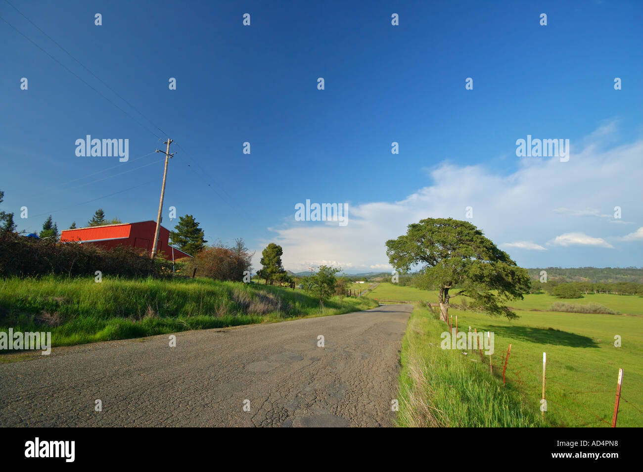 Springtime Countryside Near Yuba City California Stock Photo