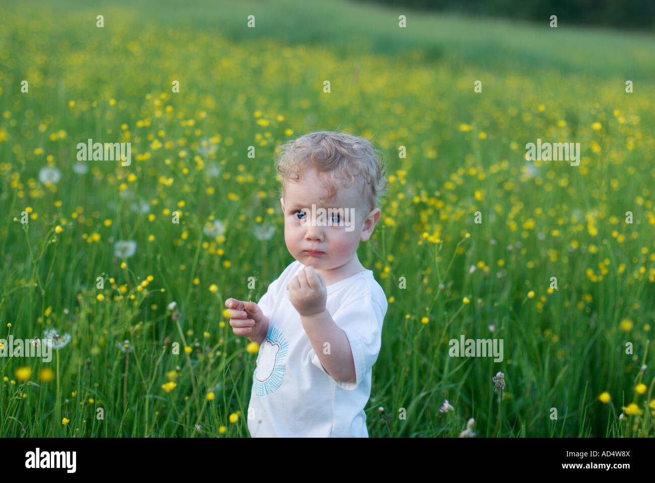 A young boy standing in a field Stock Photo - Alamy