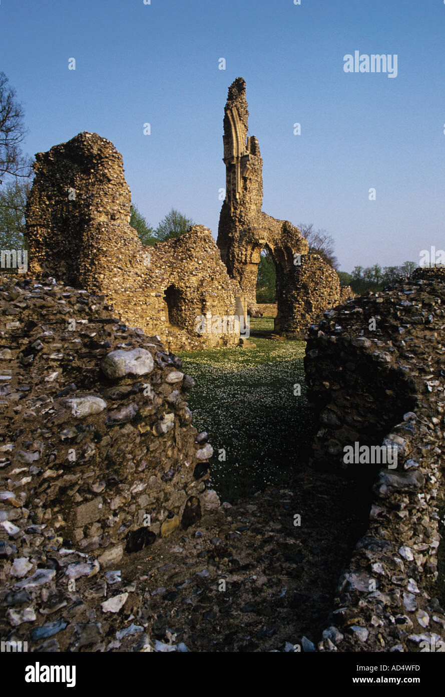 Ruins of Augustrian Priory of St Sepulchre in the centre of Thetford Stock Photo
