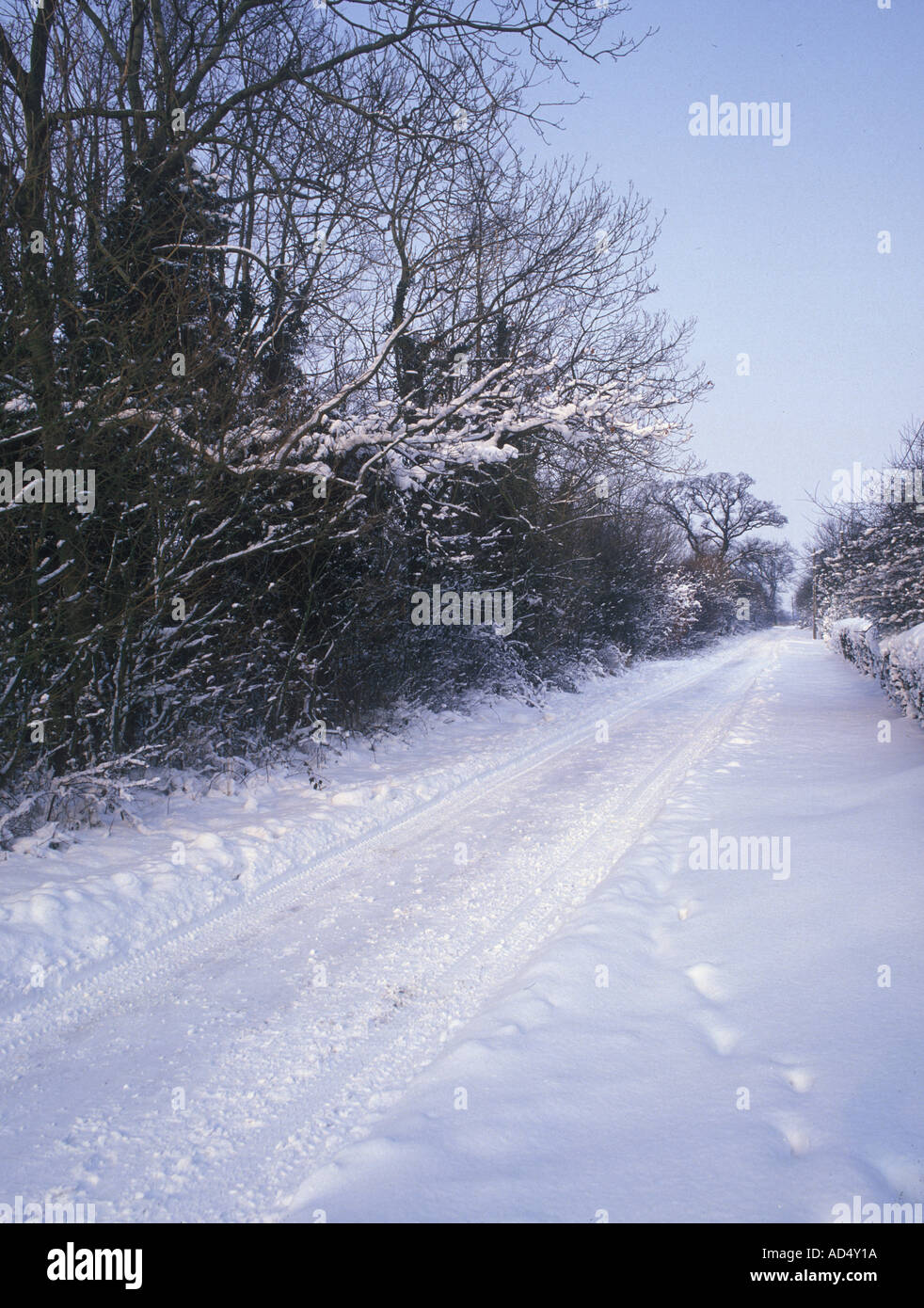 Snow Country Lane In Winter S Stock Photo - Alamy