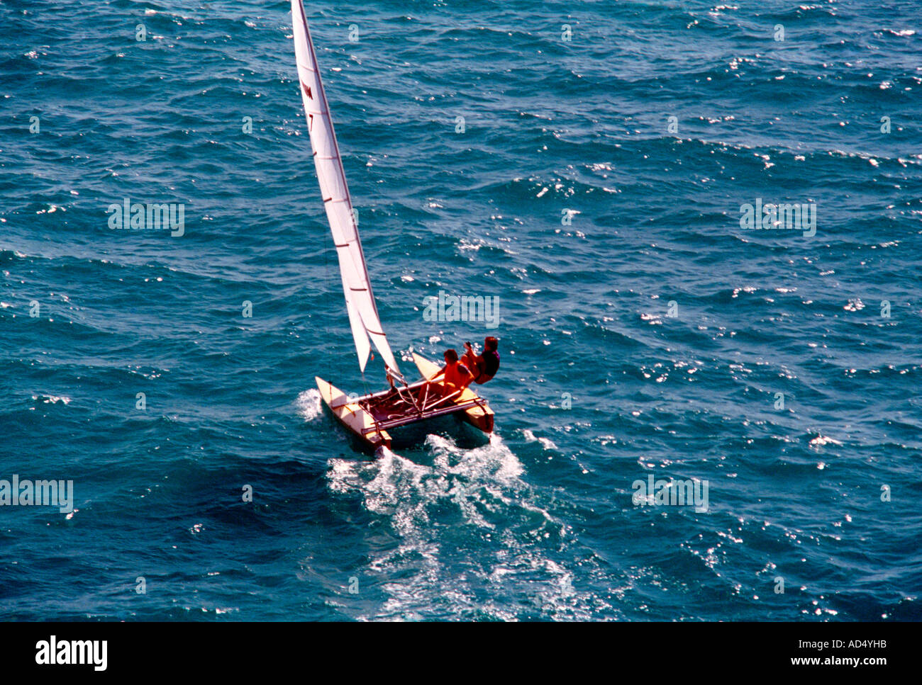Dubai UAE Catamaran Sailing Off The Emirates Stock Photo Alamy