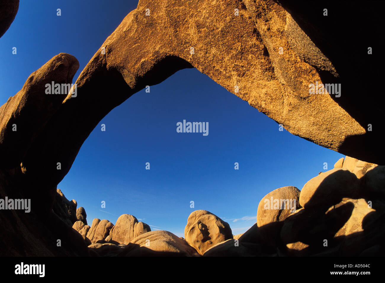 Arch rock in joshua tree hi-res stock photography and images - Alamy