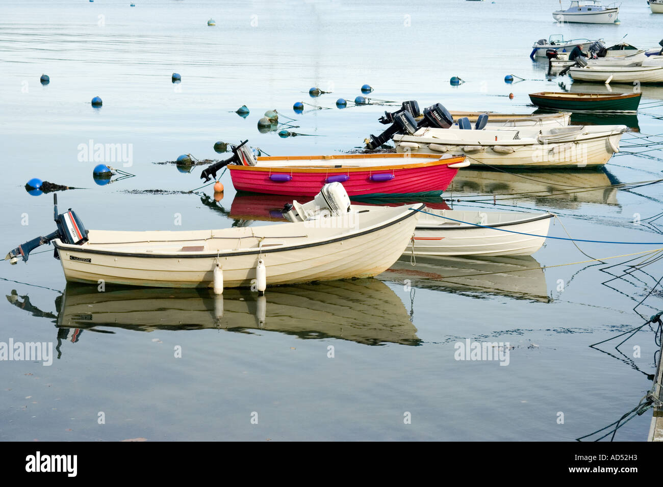 the harbour with boats at mooring at Dittisham South Devon The river