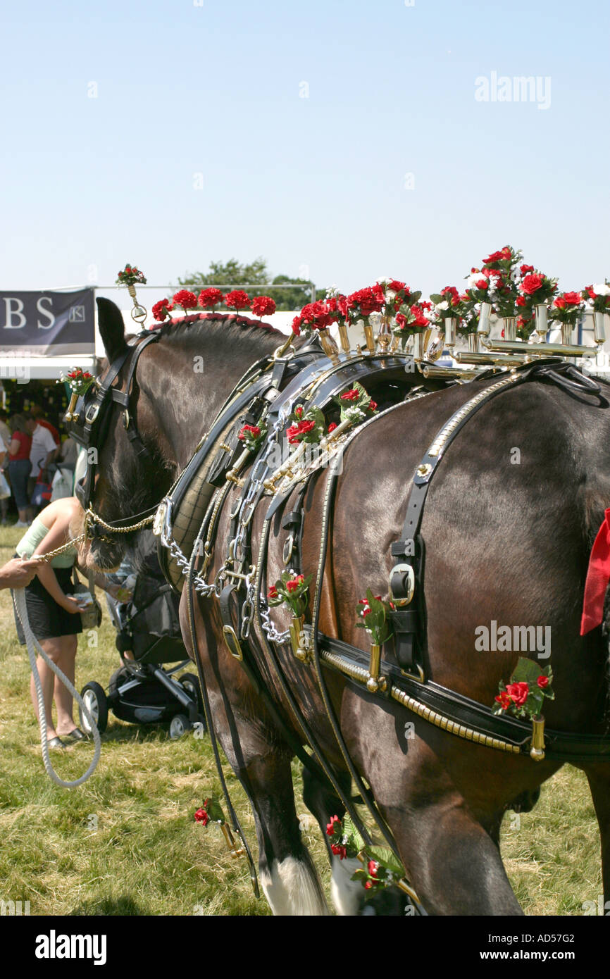 Country Game Fair at Parham House West Sussex England UK GB 2006 Stock