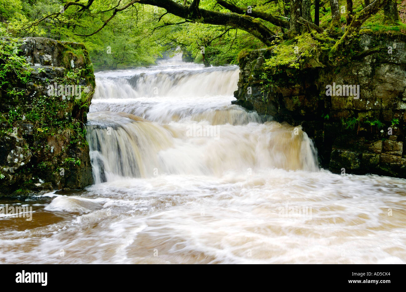 Spectacular picturesque Horseshoe Falls on the Afon Nedd Pontneddfechan