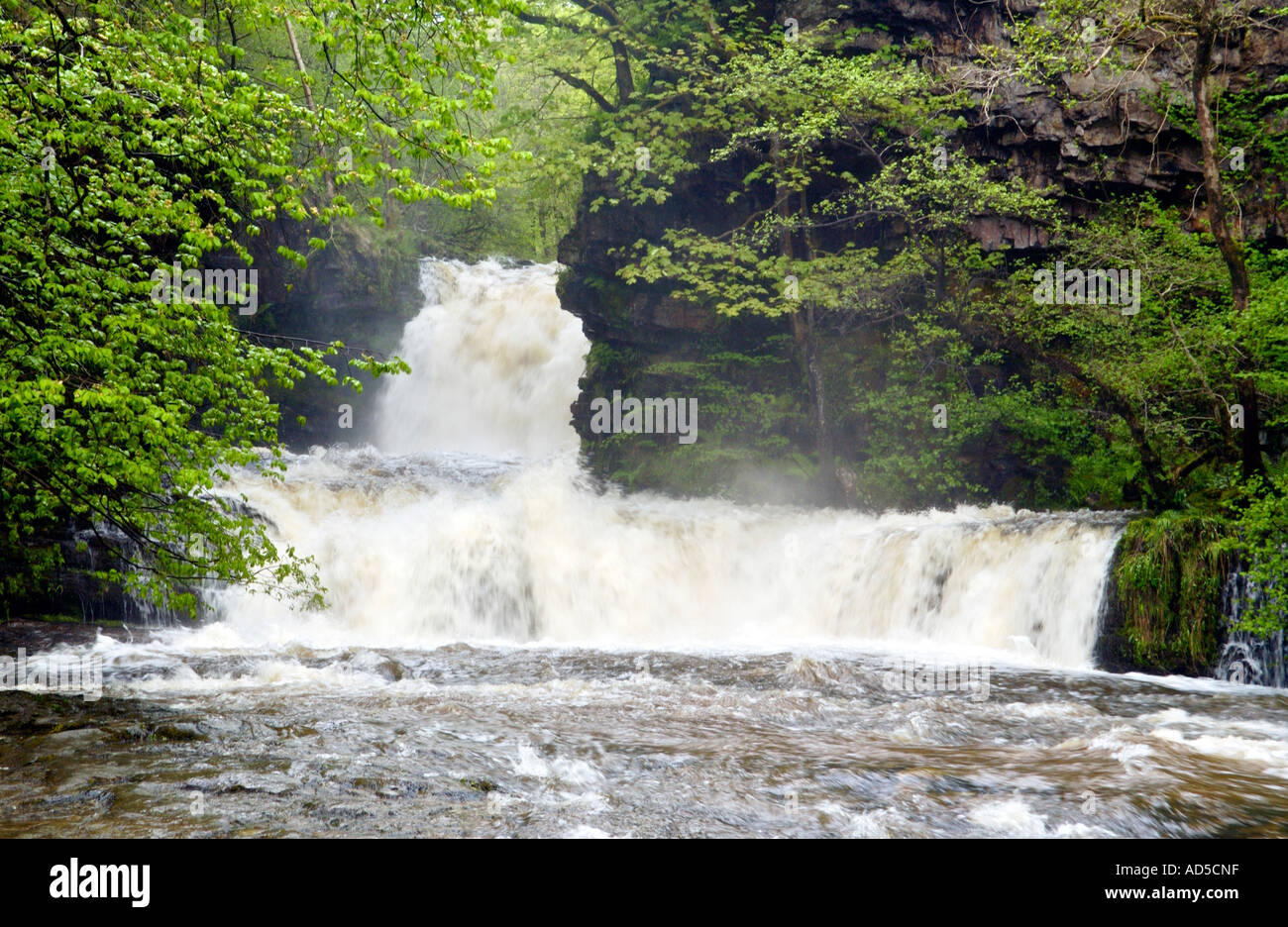 Lower Sgwd Ddwli waterfall on the Nedd Fechan river Pontneddfechan South Wales UK Stock Photo
