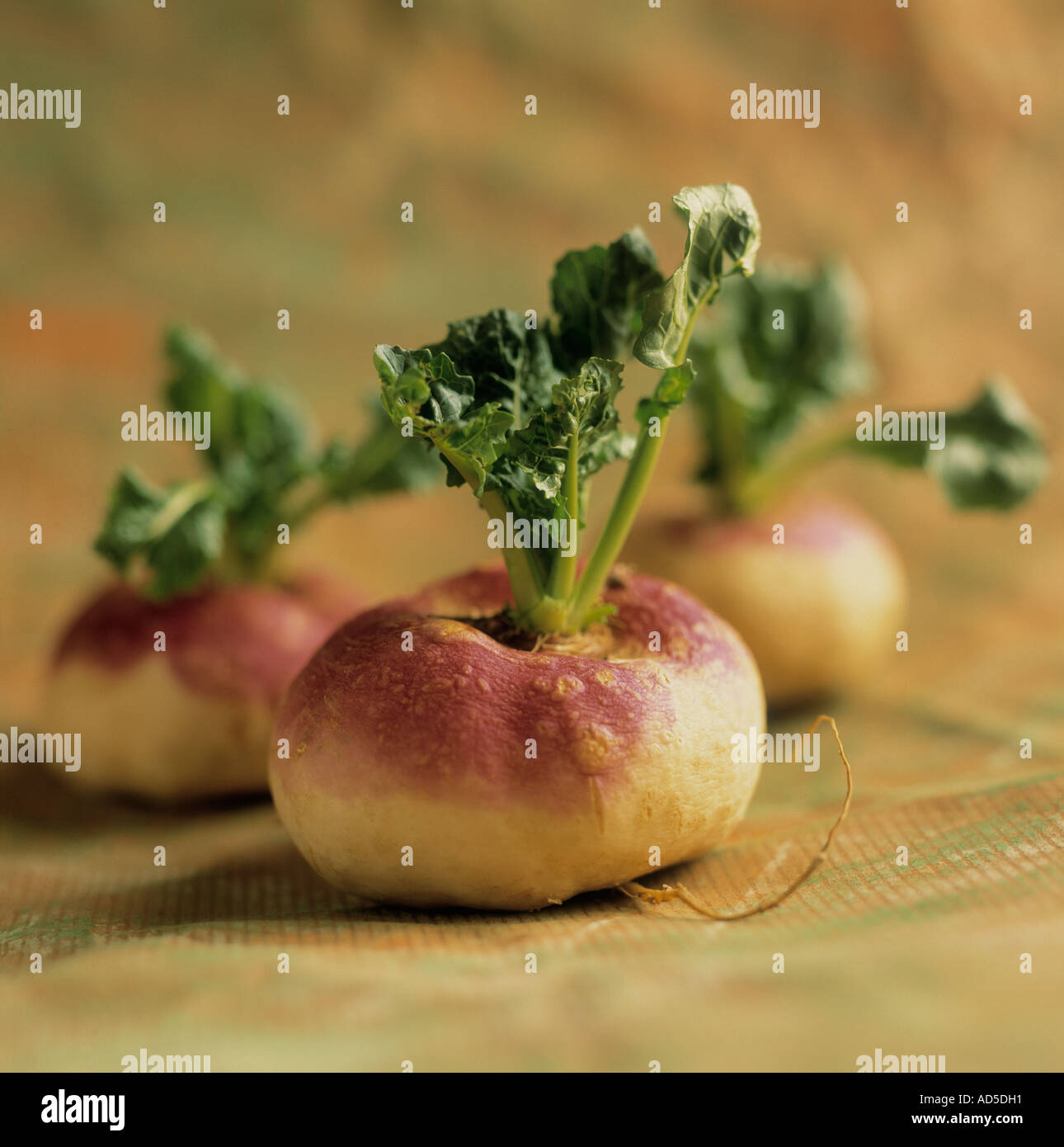 Baby turnips hires stock photography and images Alamy