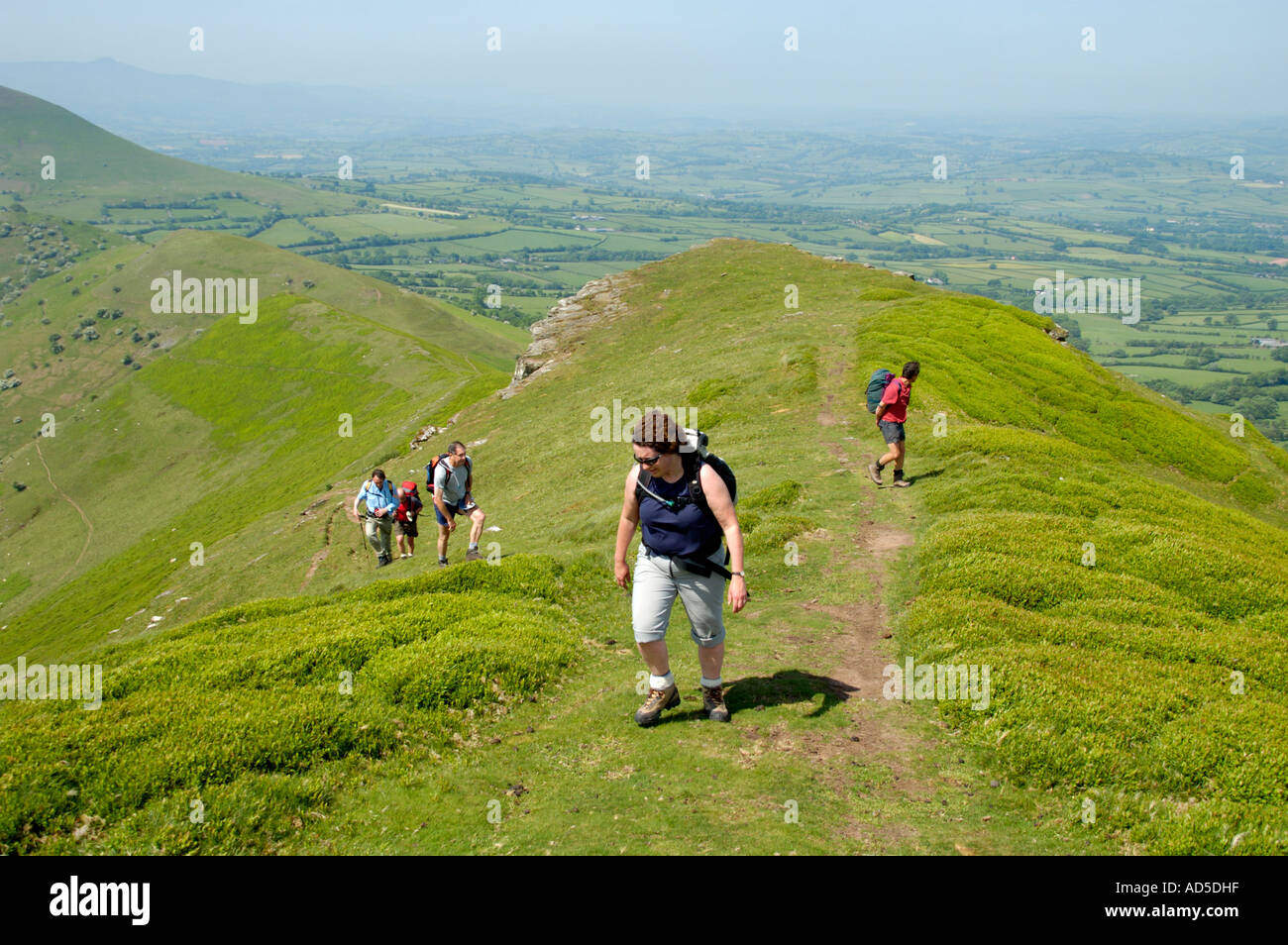 Guided walking group heading up the Dragons Back in the Black Mountains near Pengenffordd Powys South Wales UK Stock Photo