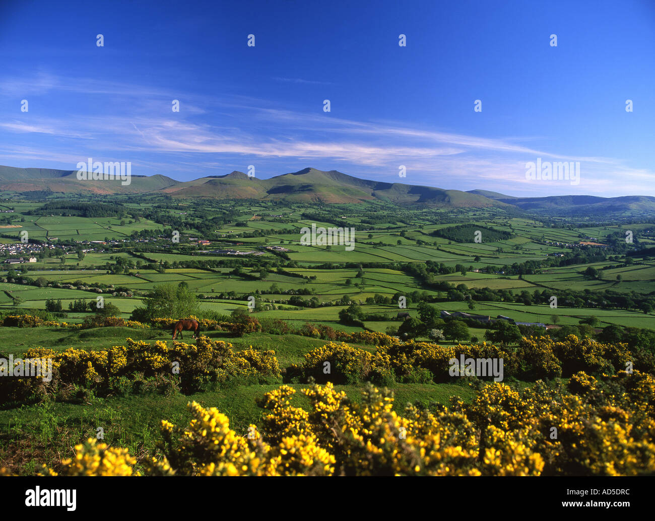 Brecon Beacons Pen y Fan and Corn Du from near Brecon Powys South Wales UK Stock Photo