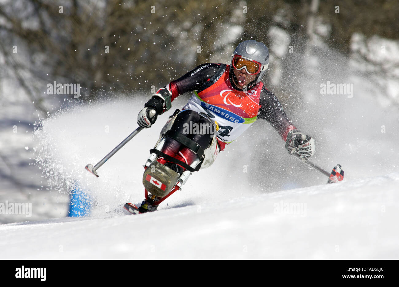 Jeffery Penner LW11 of Canada in the Mens Alpine Skiing Giant Slalom Sitting competition Stock Photo
