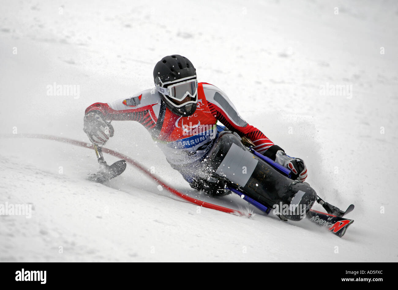 Jurgen Egle of Austria in the mens Alpine Skiing Slalom Sitting competition Stock Photo