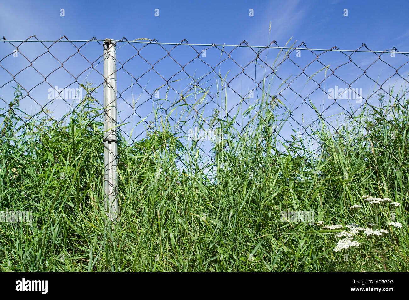 wire netting fence Stock Photo Alamy