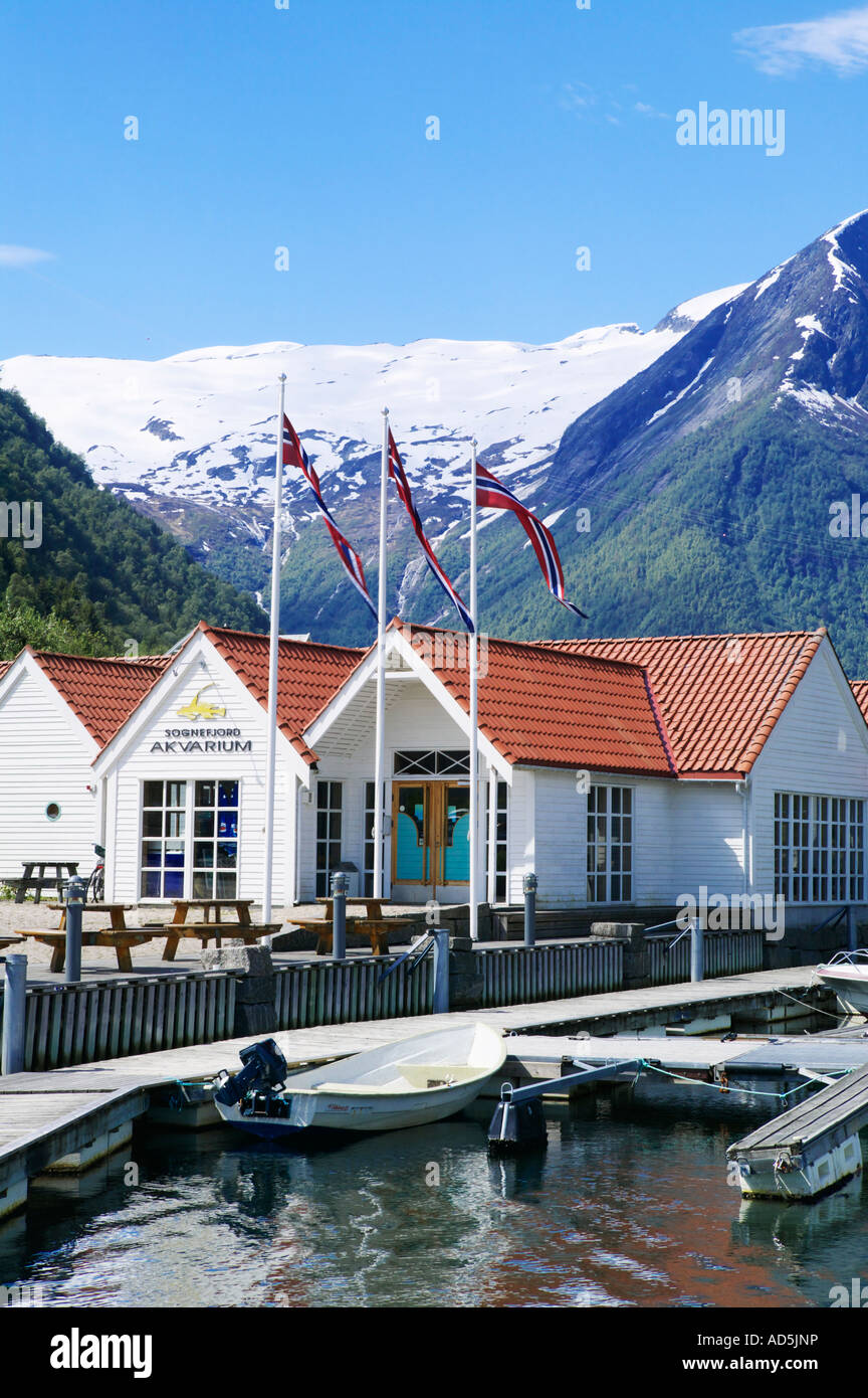 Sognefjord akvarium hi-res and images - Alamy