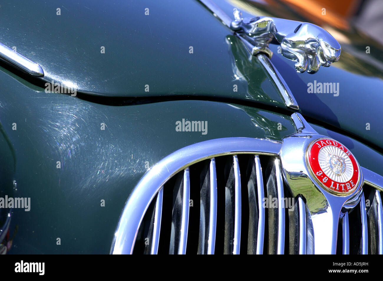 Jaguar Cars mascot Stock Photo