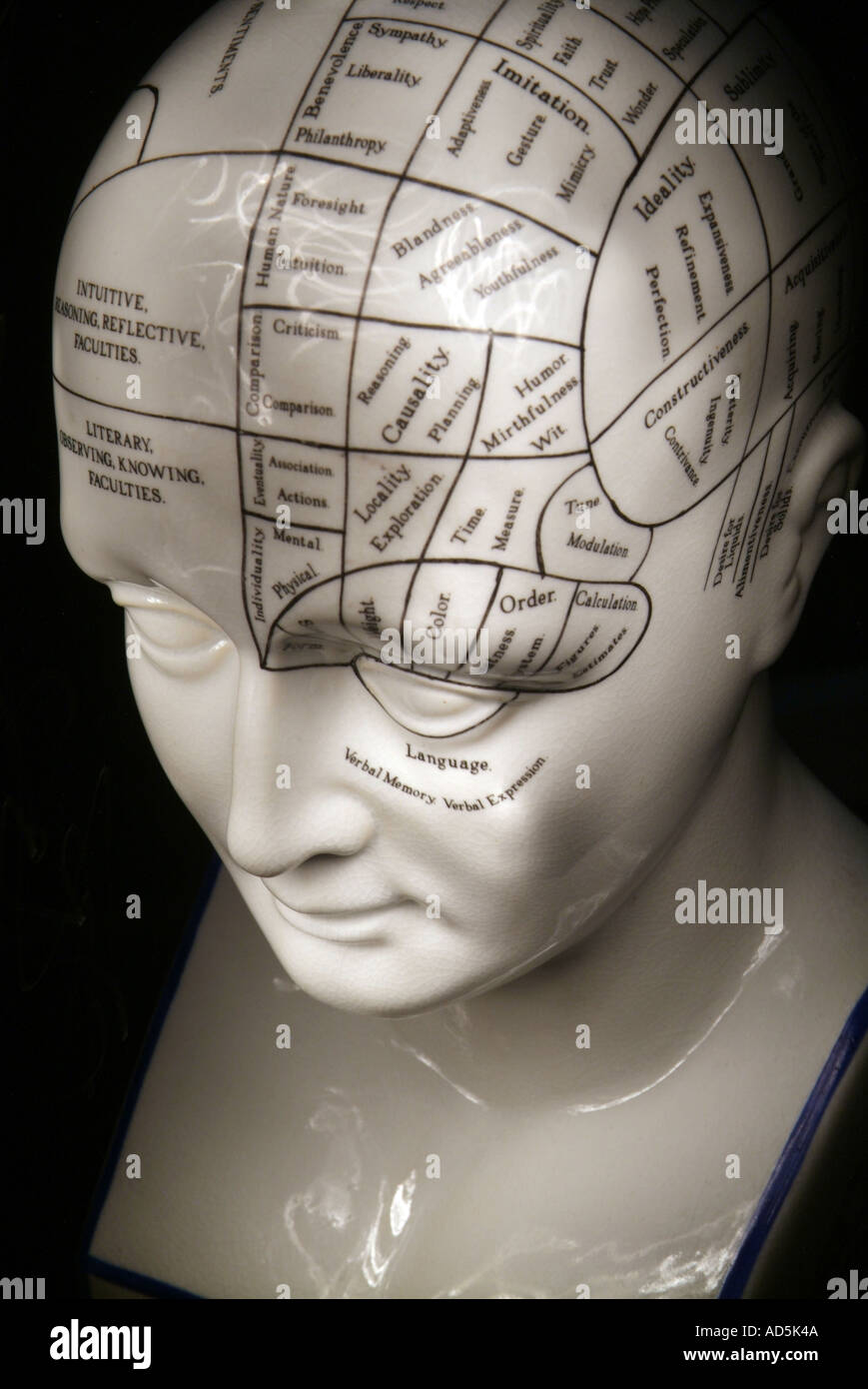 Mysterious phrenology head Stock Photo