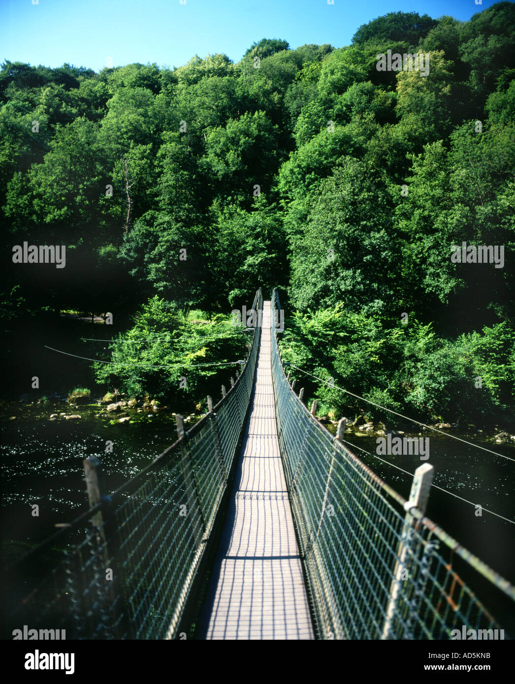 rope bridge acroos river wye near symonds yat gloucestershire Stock