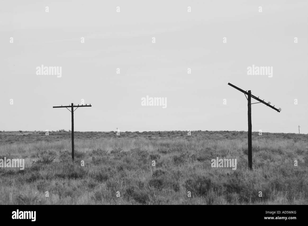 old unused electric poles near route 66 northern arizona title Stock Photo