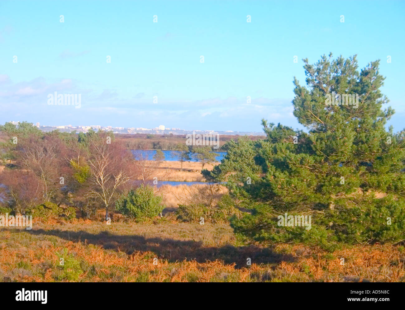 Arne River High Resolution Stock Photography and Images - Alamy
