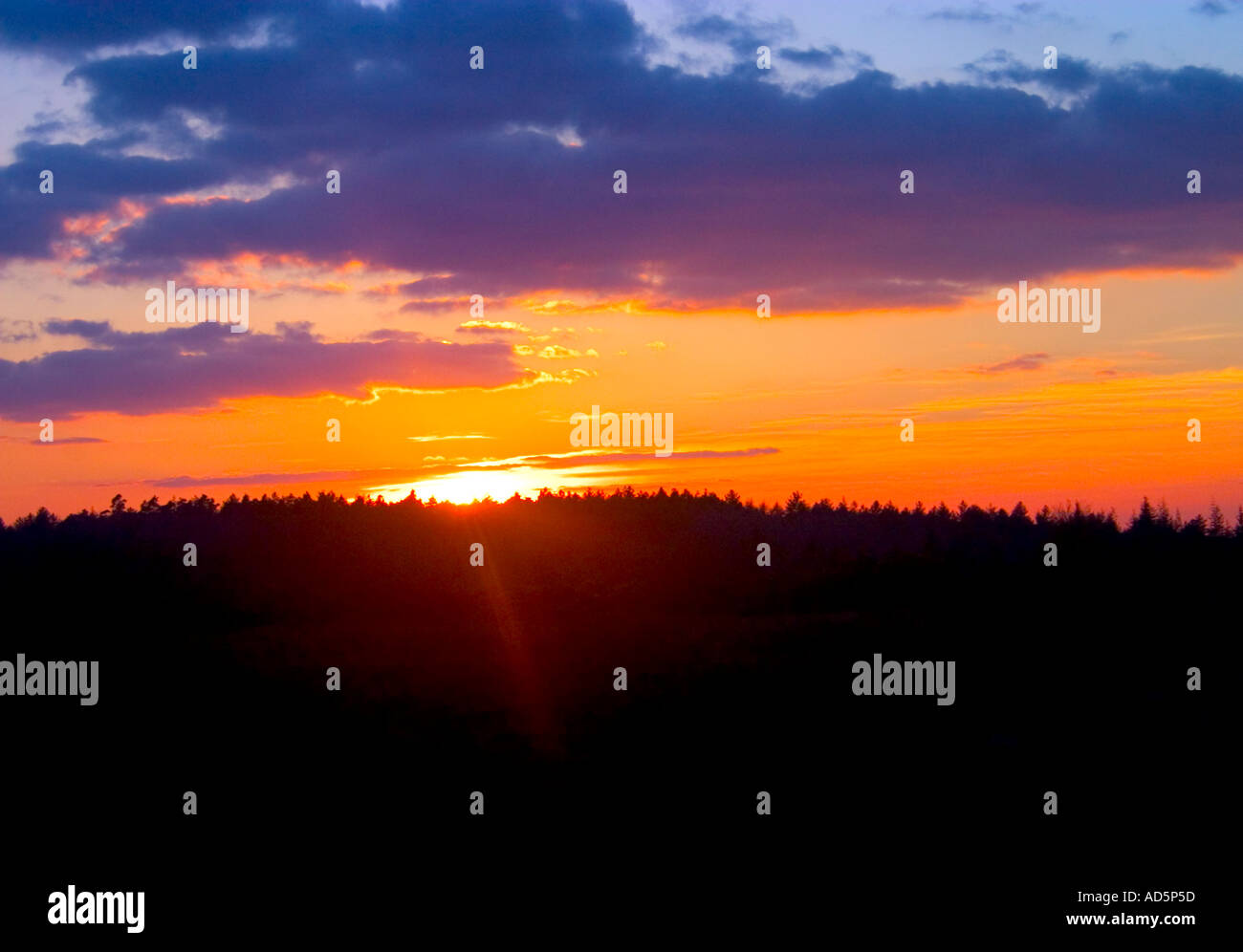 Dorset Sunset Nr New Forest Ringwood Stock Photo Alamy