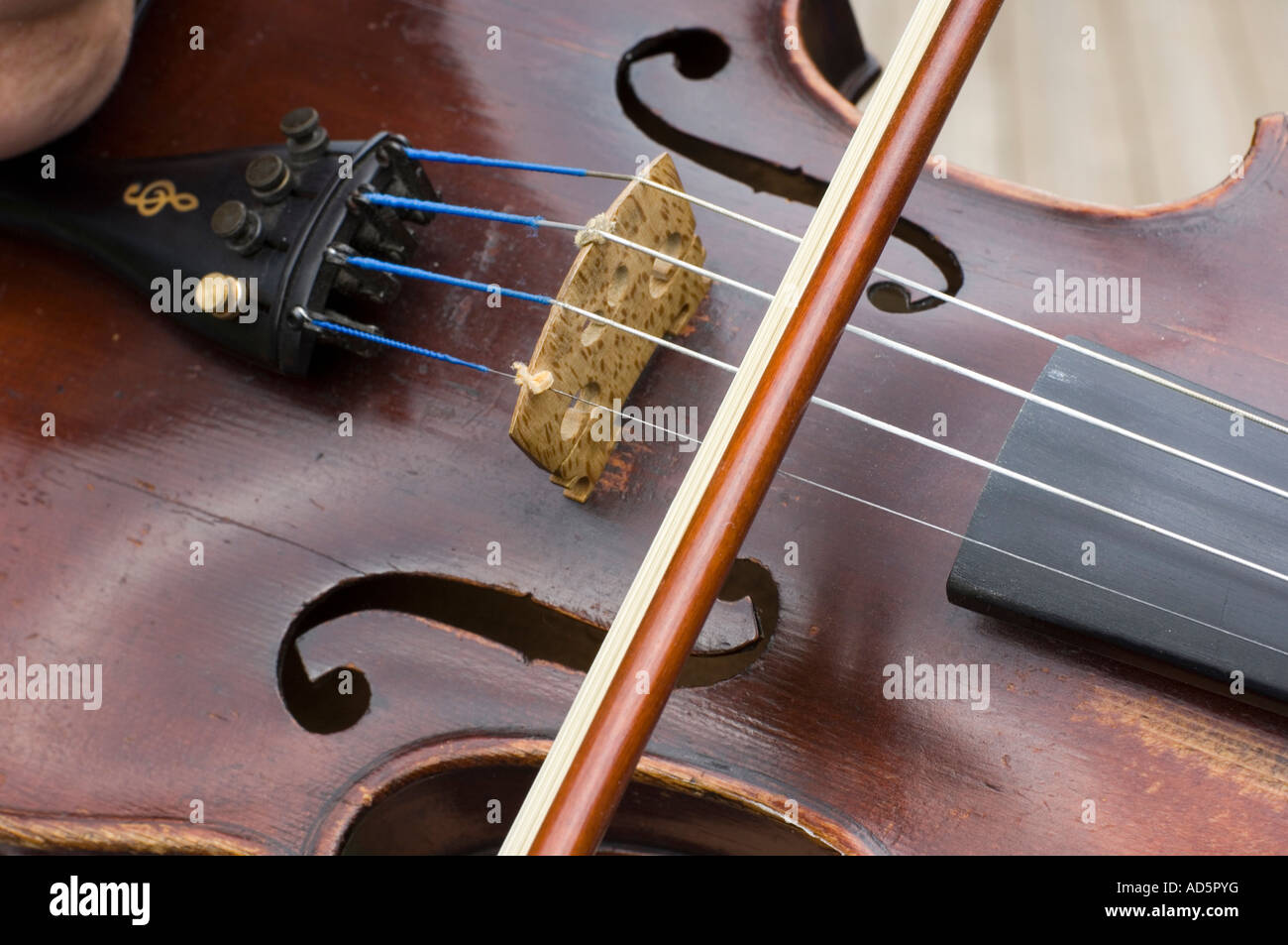 Horse hair strings hi res stock photography and images Alamy