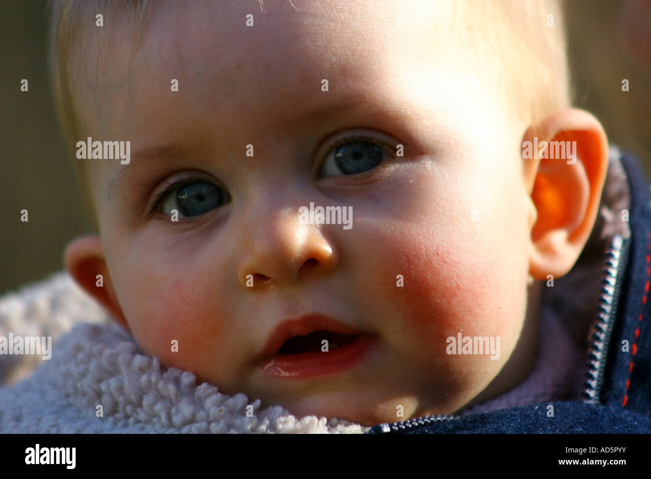 Portrait of a baby girl Stock Photo - Alamy