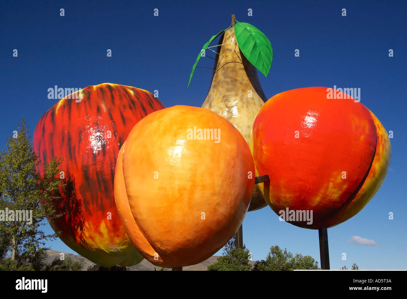 Big Fruit Cromwell Central Otago South Island New Zealand Stock Photo