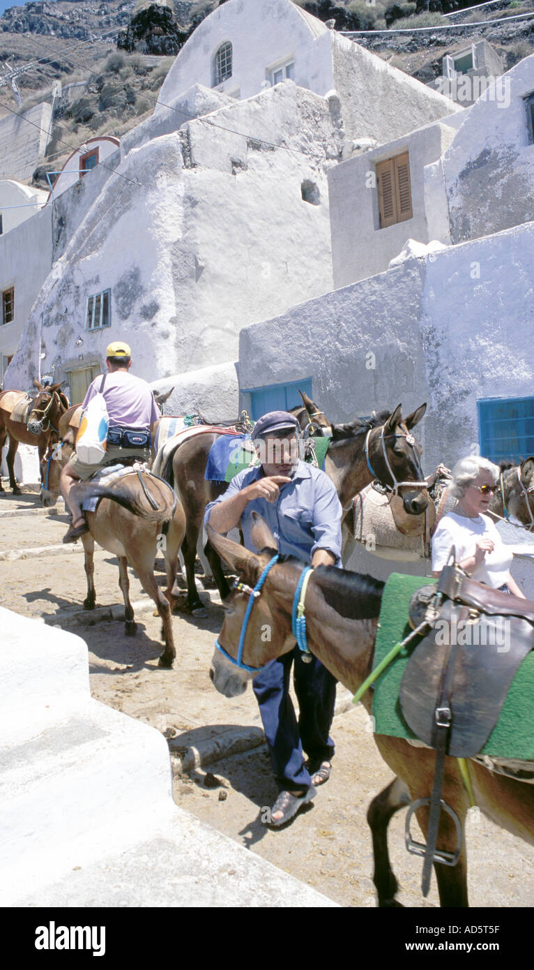 Donkeys with tourists Santorini Greece preparing to climb steps to Thira Stock Photo