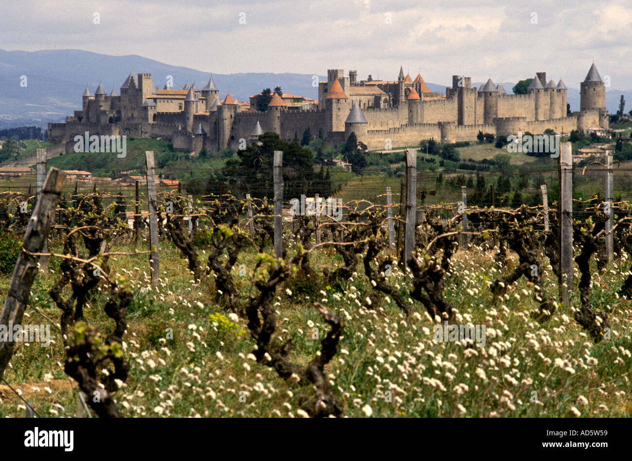 Carcassonne, a hilltop town in southern France’s Languedoc area, famous for its medieval citadel, La Cité, with numerous watchtowers  France  French Stock Photo