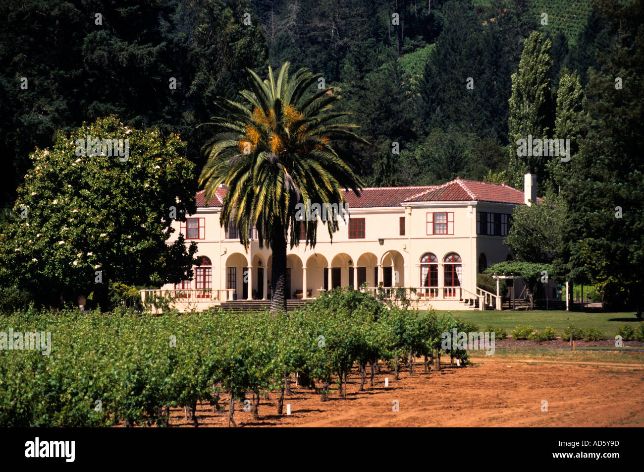 USA California Wine Vineyard Vintage Grapes Wine Estate United States Napa Valley Sonoma Valley Stock Photo