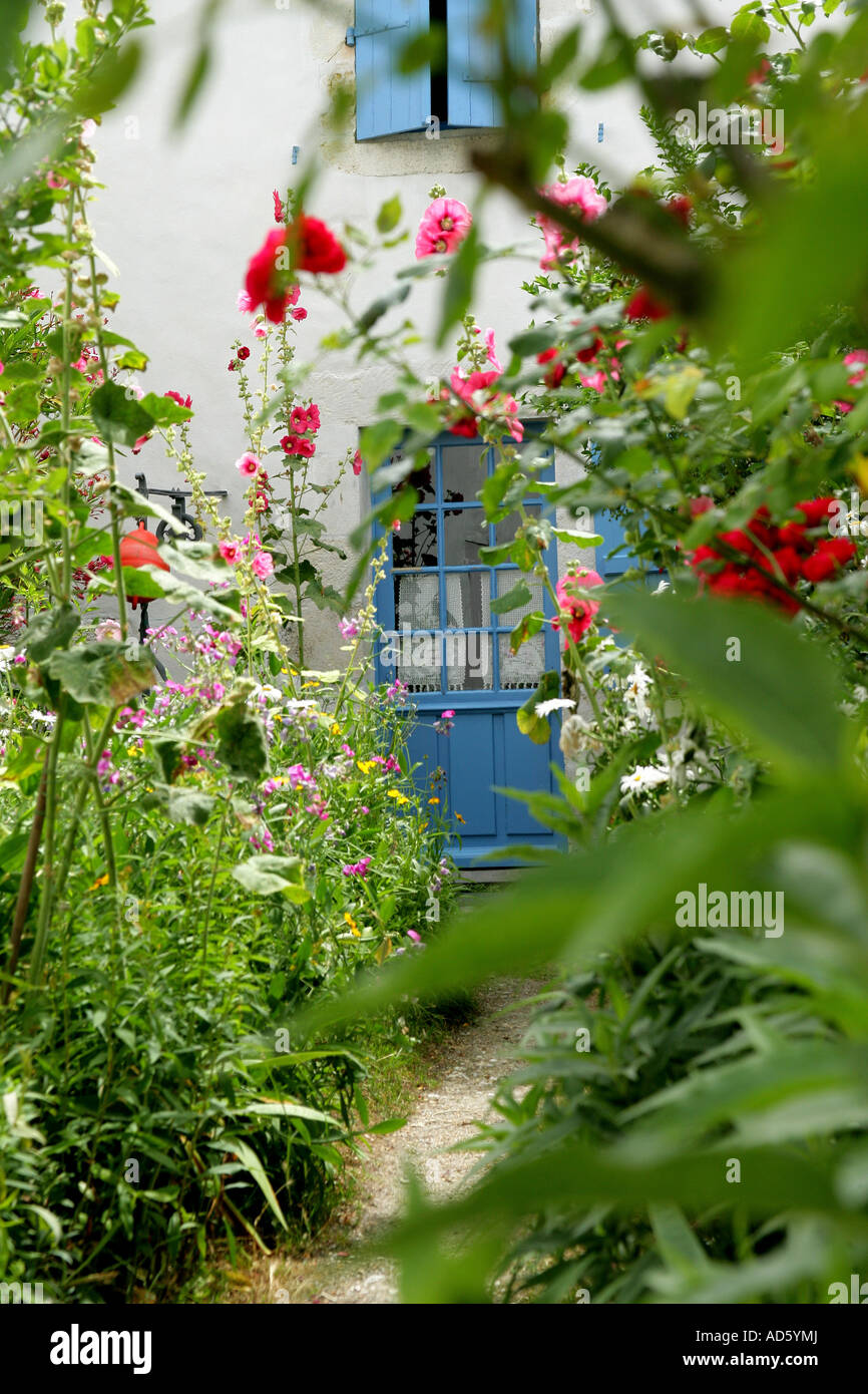 Garden of a house Stock Photo Alamy