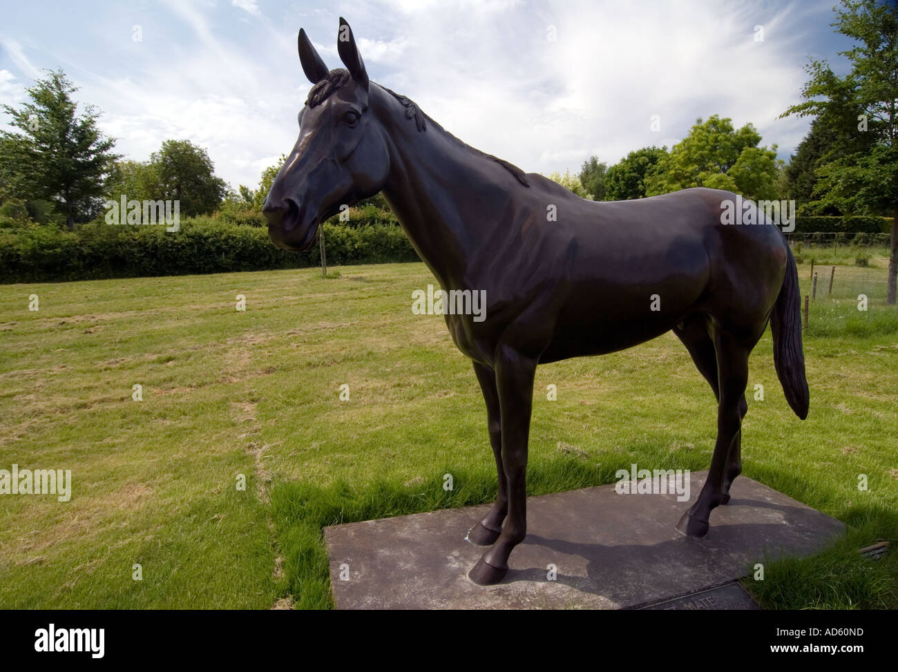 Bronze statue of ten year old racehorse Best Mate winner of three Gold