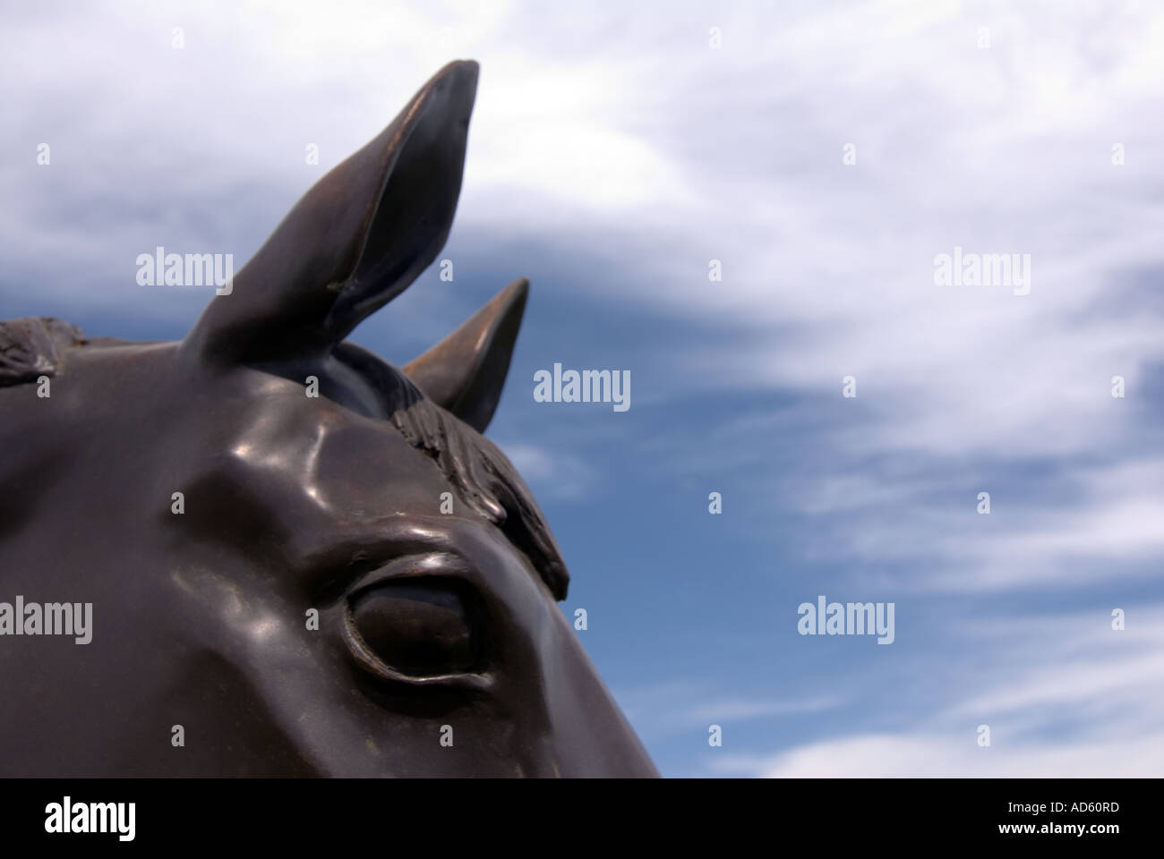 Best mate horse hires stock photography and images Alamy