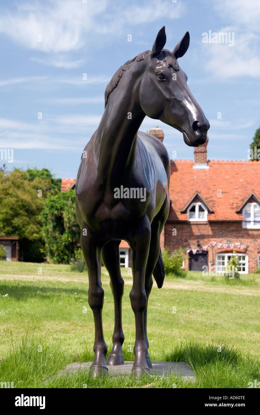 Best mate horse hires stock photography and images Alamy