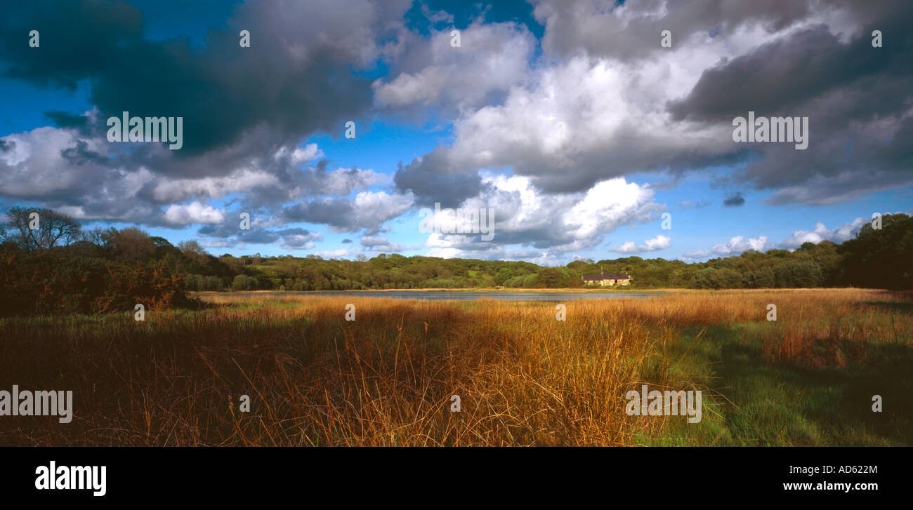 Millars Park Marshes Landshipping Quay Martletwy Pembrokeshire National