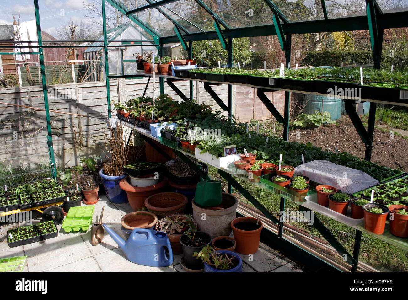 INTERIOR OF A GREENHOUSE IN SPRING Stock Photo - Alamy